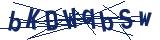 Captcha-Zeichenfolge