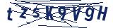 Captcha-Zeichenfolge
