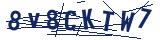 Captcha-Zeichenfolge