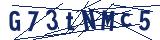 Captcha-Zeichenfolge