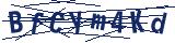 Captcha-Zeichenfolge