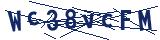 Captcha-Zeichenfolge