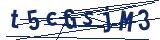 Captcha-Zeichenfolge