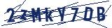 Captcha-Zeichenfolge