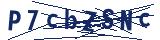 Captcha-Zeichenfolge