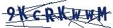 Captcha-Zeichenfolge