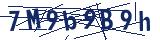 Captcha-Zeichenfolge