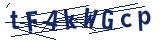 Captcha-Zeichenfolge