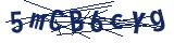 Captcha-Zeichenfolge
