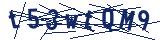 Captcha-Zeichenfolge