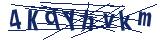 Captcha-Zeichenfolge