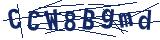 Captcha-Zeichenfolge