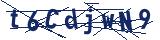 Captcha-Zeichenfolge