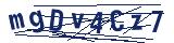 Captcha-Zeichenfolge