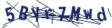 Captcha-Zeichenfolge