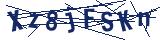 Captcha-Zeichenfolge