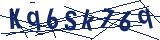 Captcha-Zeichenfolge