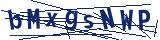 Captcha-Zeichenfolge