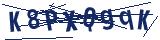 Captcha-Zeichenfolge