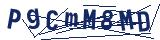 Captcha-Zeichenfolge