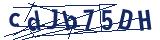 Captcha-Zeichenfolge