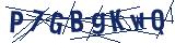 Captcha-Zeichenfolge