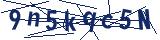 Captcha-Zeichenfolge