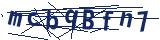 Captcha-Zeichenfolge