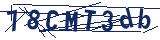 Captcha-Zeichenfolge