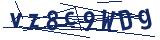 Captcha-Zeichenfolge