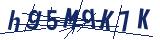 Captcha-Zeichenfolge