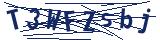 Captcha-Zeichenfolge