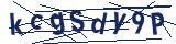 Captcha-Zeichenfolge