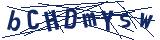 Captcha-Zeichenfolge