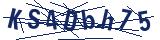 Captcha-Zeichenfolge