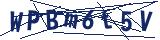 Captcha-Zeichenfolge
