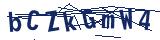 Captcha-Zeichenfolge