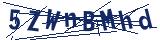 Captcha-Zeichenfolge