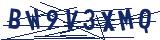 Captcha-Zeichenfolge
