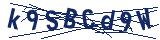 Captcha-Zeichenfolge