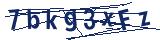 Captcha-Zeichenfolge