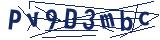 Captcha-Zeichenfolge