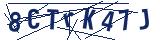 Captcha-Zeichenfolge