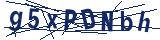 Captcha-Zeichenfolge