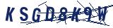 Captcha-Zeichenfolge