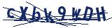 Captcha-Zeichenfolge