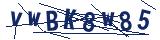 Captcha-Zeichenfolge