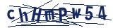 Captcha-Zeichenfolge