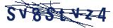 Captcha-Zeichenfolge