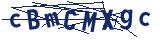 Captcha-Zeichenfolge